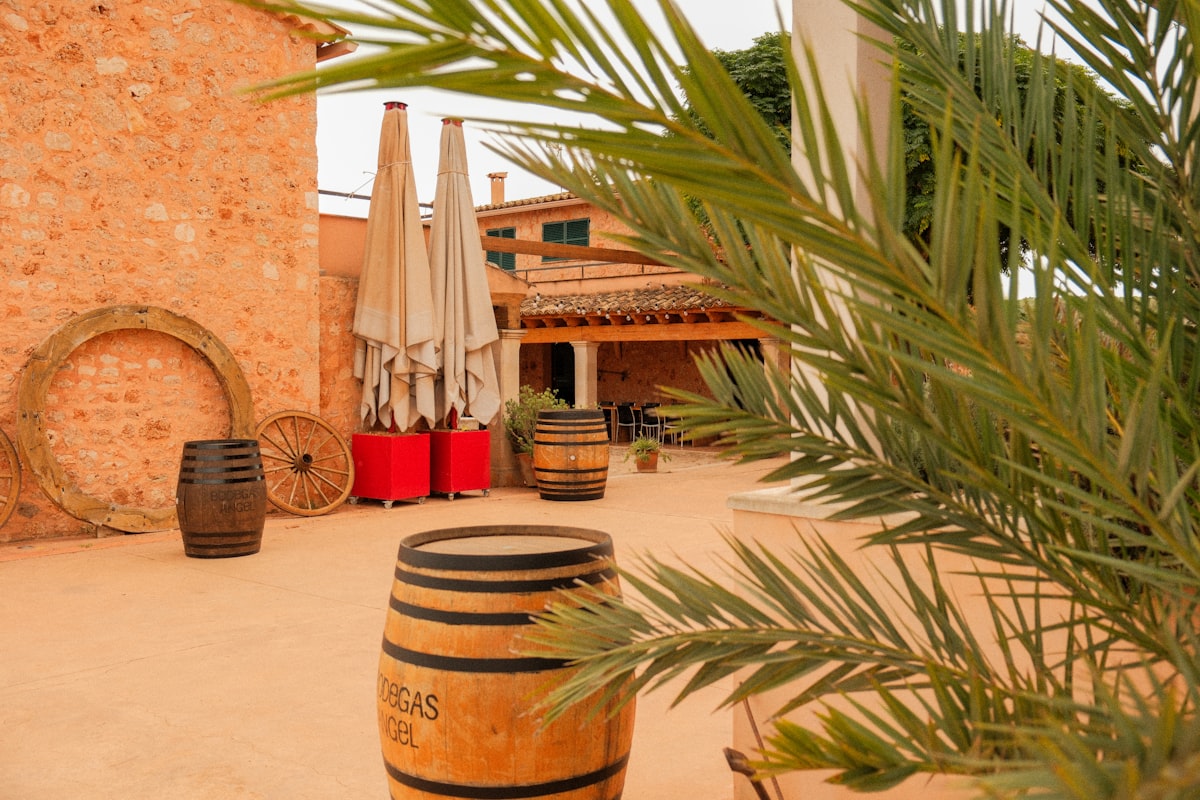 Oller del Mas winery terrace