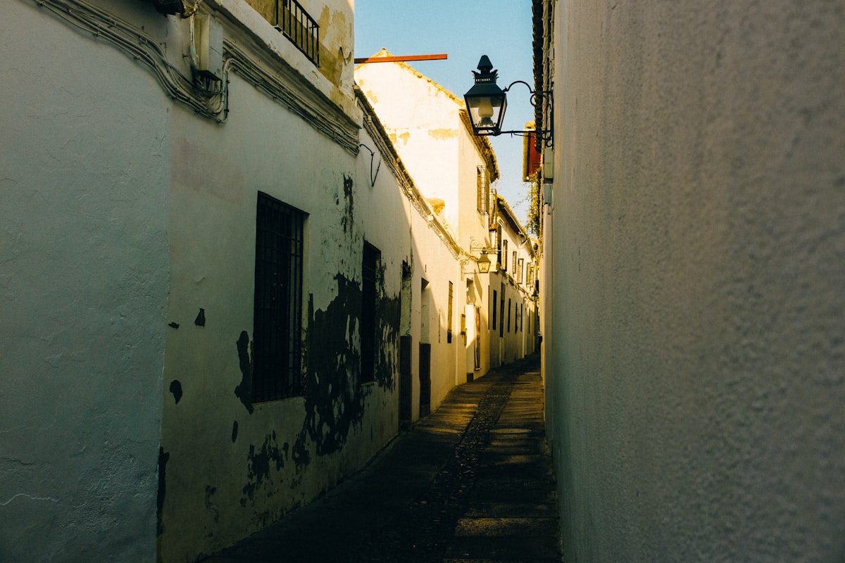 Barrio de Santa Cruz whitewashed lanes